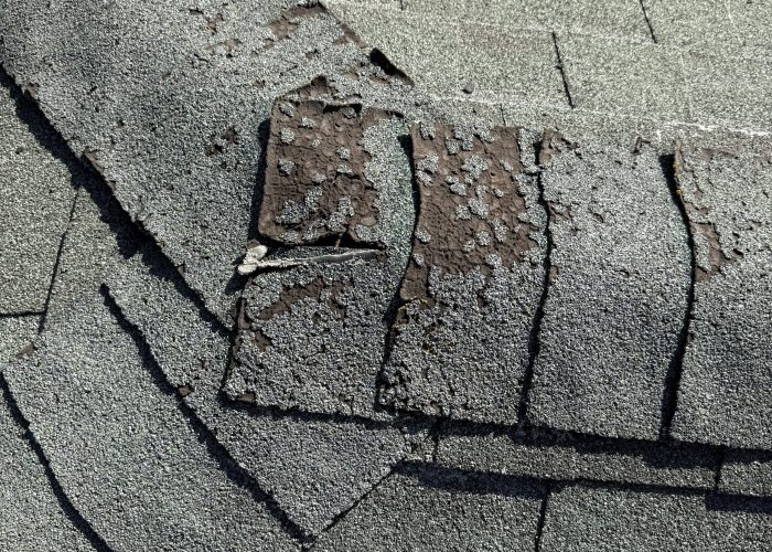 Shingle Ridgecap Replacement