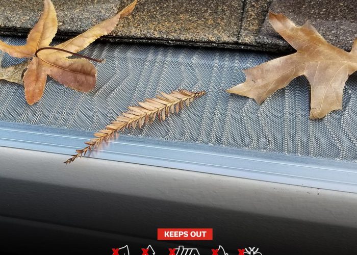 Gutter and Leaf Guard Services