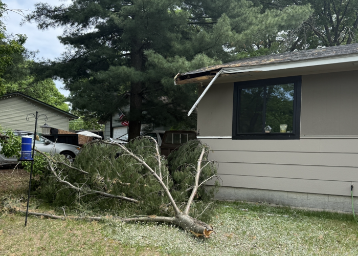 Roof Tree Fall Damage repair